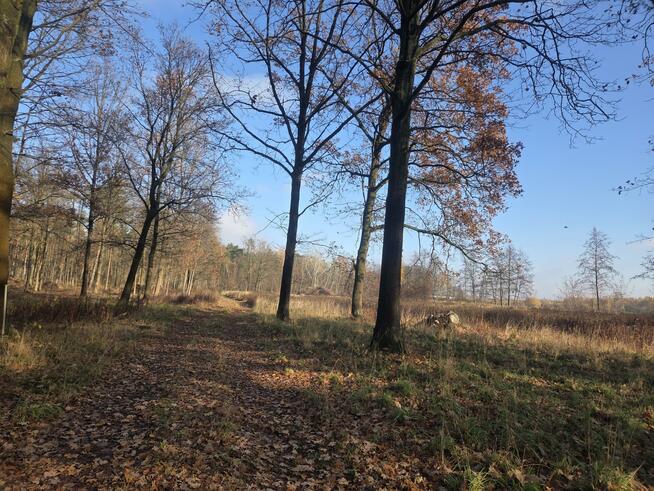 Działka przemysłowa Duchnów gm. Wiązowna, Leśny Zakątek