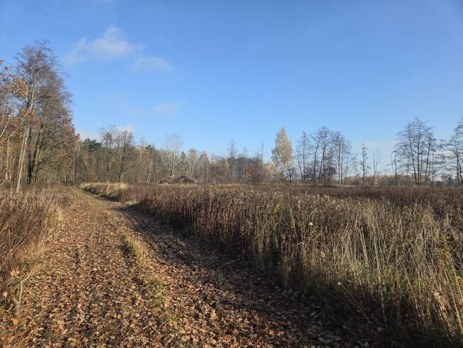 Działka przemysłowa Duchnów gm. Wiązowna, Leśny Zakątek