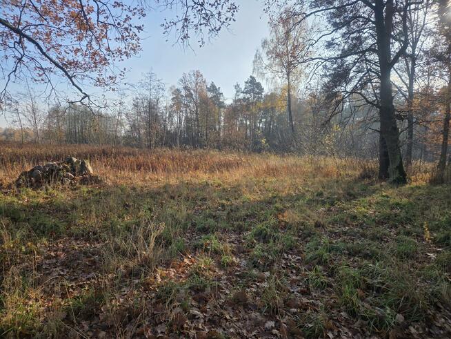 Działka przemysłowa Duchnów gm. Wiązowna, Leśny Zakątek