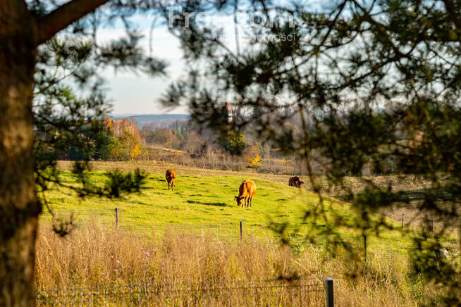 Nowy dom 2025 r. na wzgórzu | Ryn-Kolonia