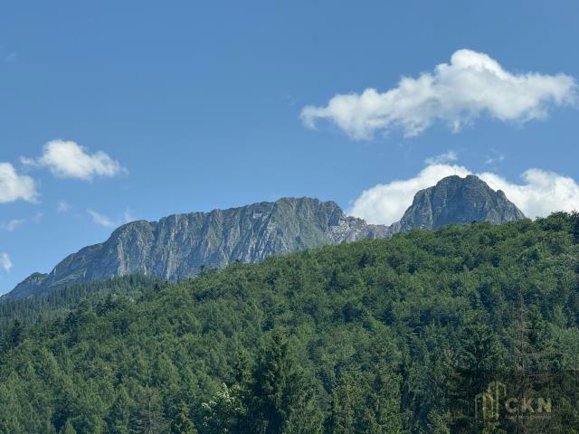 Dom Kościelisko gm. Zakopane, Gronik