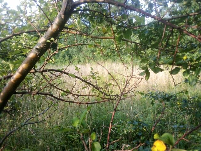 Działka budowlana Barłomino gm. Luzino, Ofiar Stutthofu