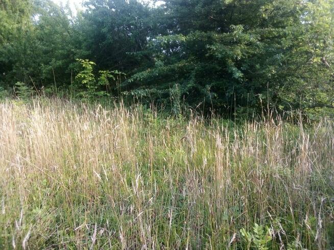 Działka budowlana Barłomino gm. Luzino, Ofiar Stutthofu