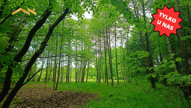 Działka budowlana Rudno gm. Krzeszowice Borki,