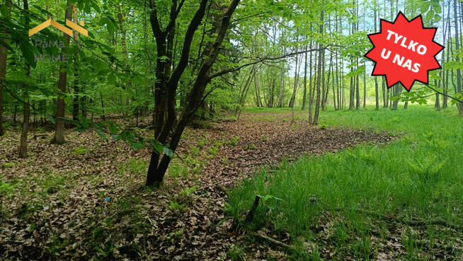 Działka budowlana Rudno gm. Krzeszowice Borki,