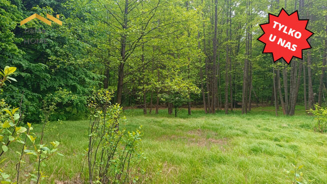 Działka budowlana Rudno gm. Krzeszowice Borki,