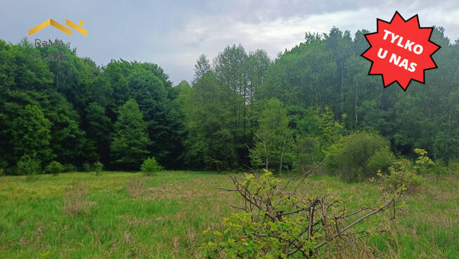 Działka budowlana Rudno gm. Krzeszowice Borki,
