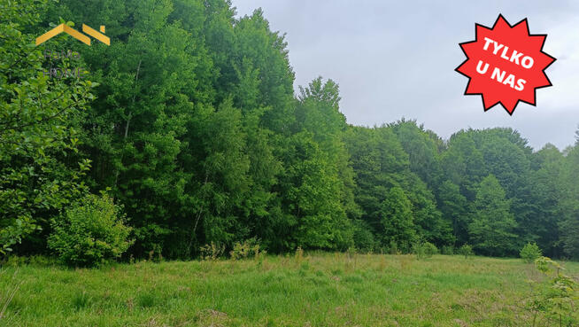 Działka budowlana Rudno gm. Krzeszowice Borki,