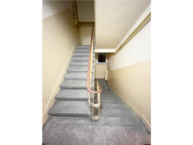 50m2 - blisko centrum - wolne od zaraz