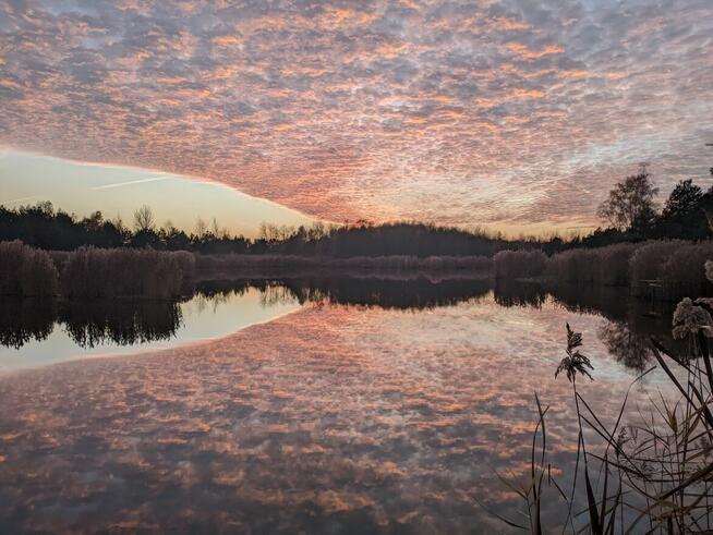 Szukam pracy w Warszawie od zaraz.