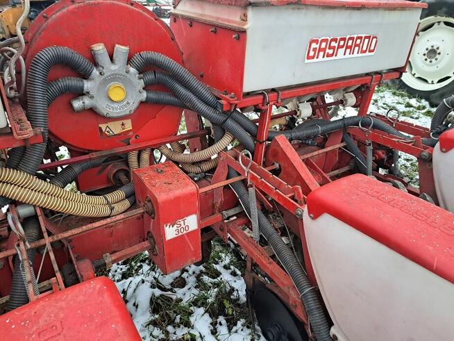 SIEWNIK 6 Gaspardo talerzowy/do kukurydzy