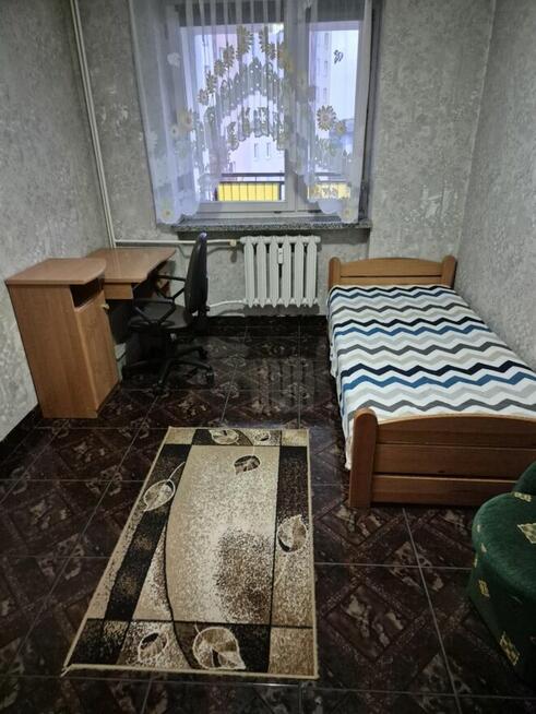 Mieszkanie do wynajęcia