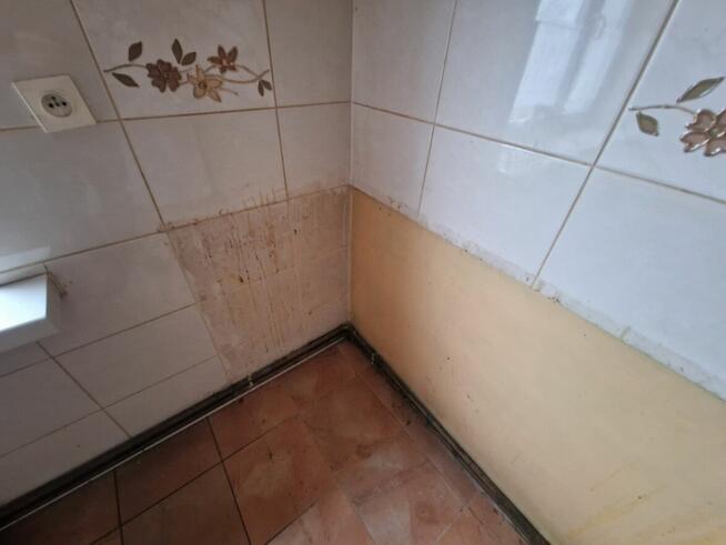 Lokal mieszkalny - Borki