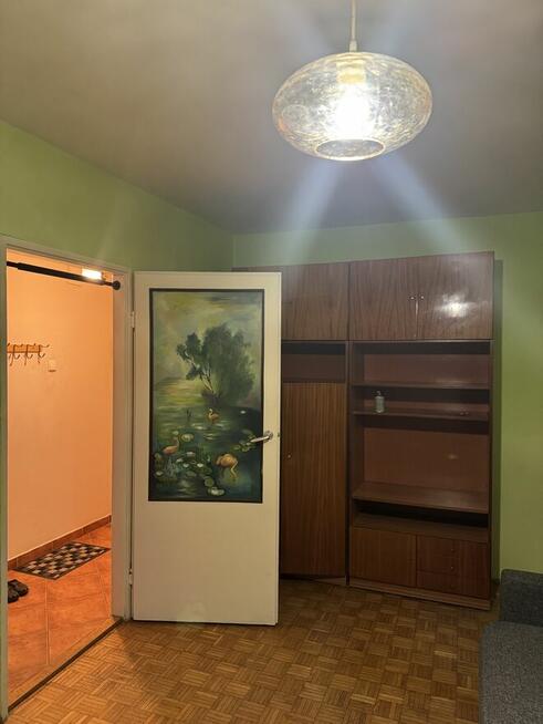 kawalerka na wynajem | zamość | orzeszkowa