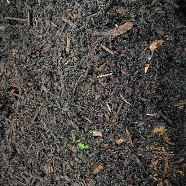 Substrat Humusowy z Kompostowanych Pozostałości Pozrębowych