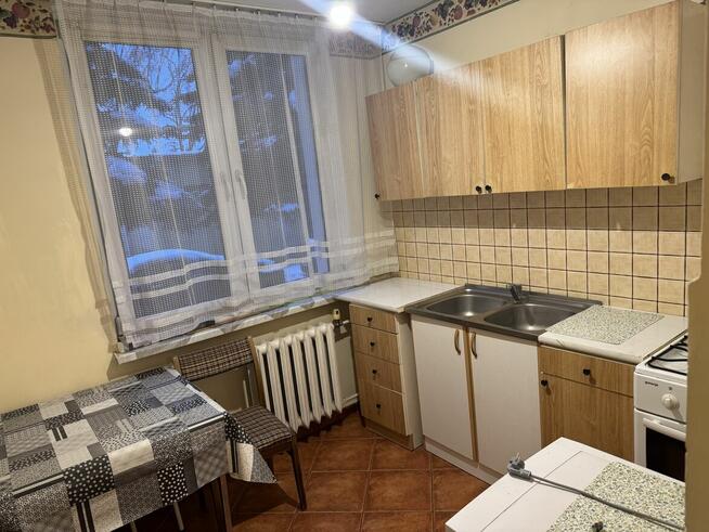 kawalerka na wynajem | zamość | orzeszkowa