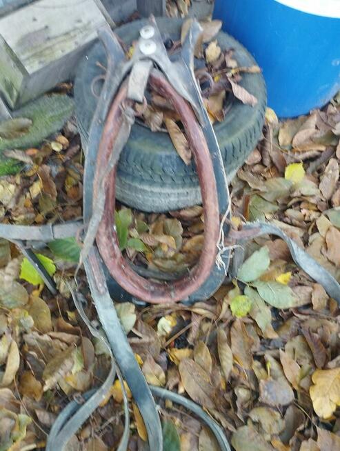 Chomont - uprząż dla konia