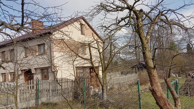 Usługi Rebakiem • Wycinka i Pielęgnacja Drzew • Czyszczenie