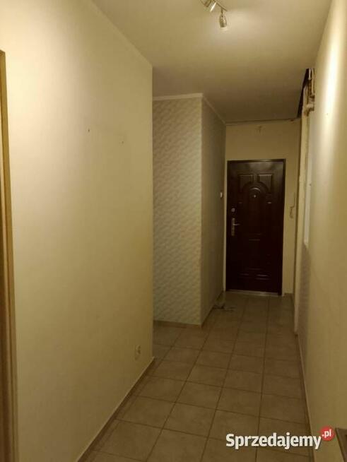 Mieszkanie 2 pokojowe Malbork