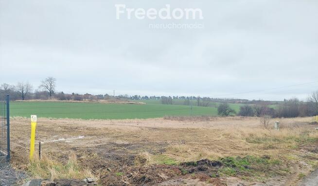 Działka przy ul. Kasztanowej -Nowa Wieś Malborska.