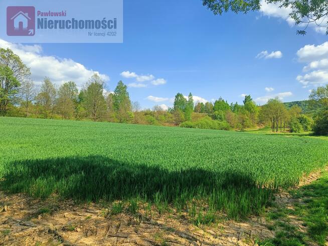 Działka rolna Wola Radziszowska gm. Skawina