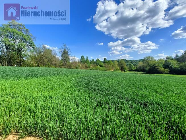 Działka rolna Wola Radziszowska gm. Skawina