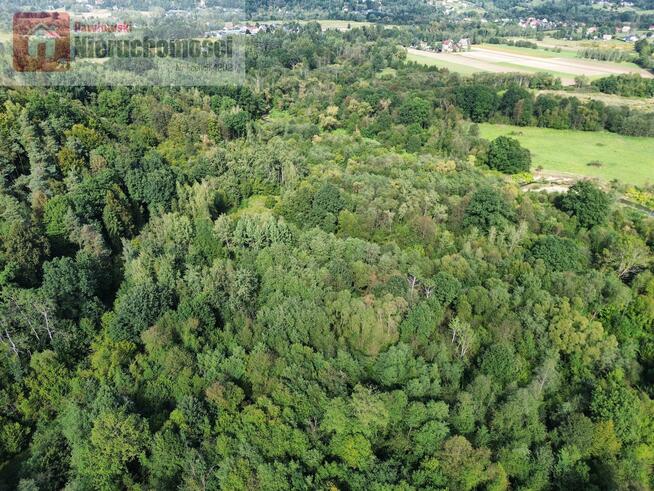 Działka leśna Wola Radziszowska gm. Skawina