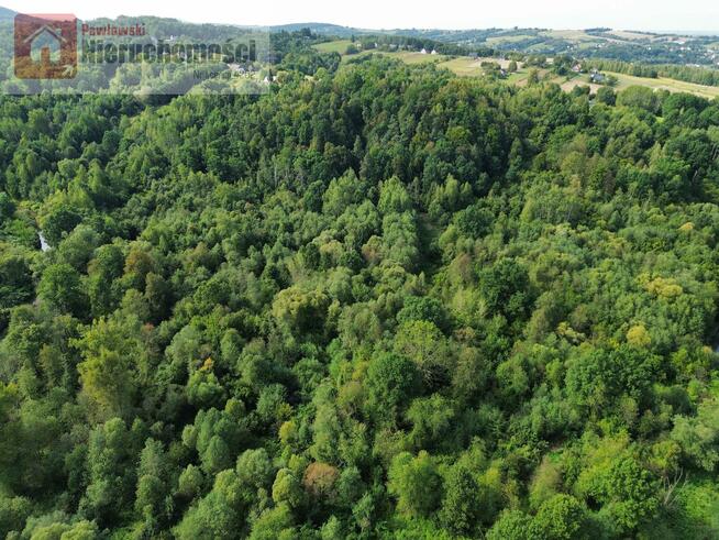 Działka leśna Wola Radziszowska gm. Skawina