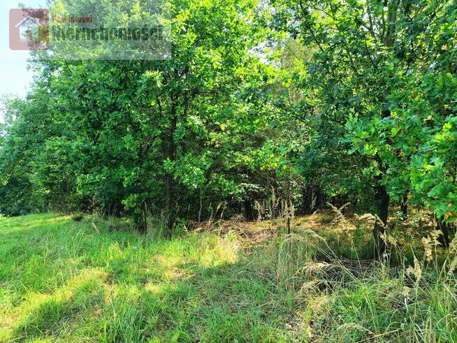 Działka rolno-budowlana Wola Radziszowska gm. Skawina
