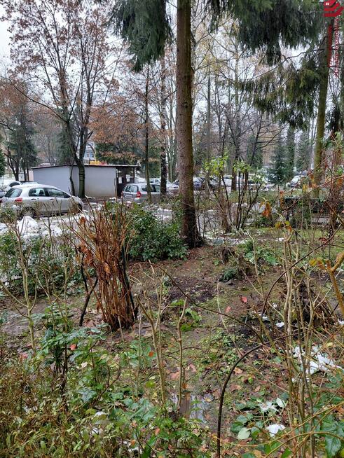 Mieszkanie Kraków Prądnik Czerwony, Rozrywka