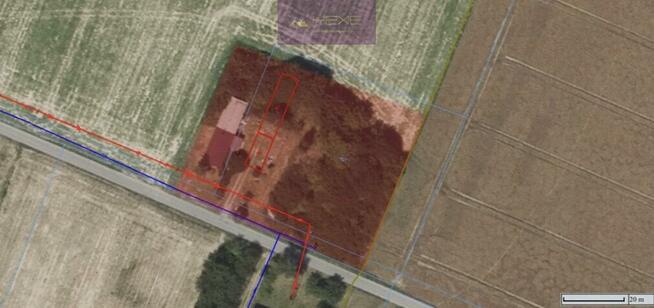 Dom Wola Trębska gm. Szczawin Kościelny