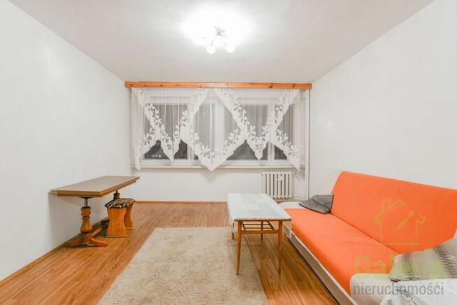 Jasna kawalerka, Pomorzany Wzgórze Hetmańskie