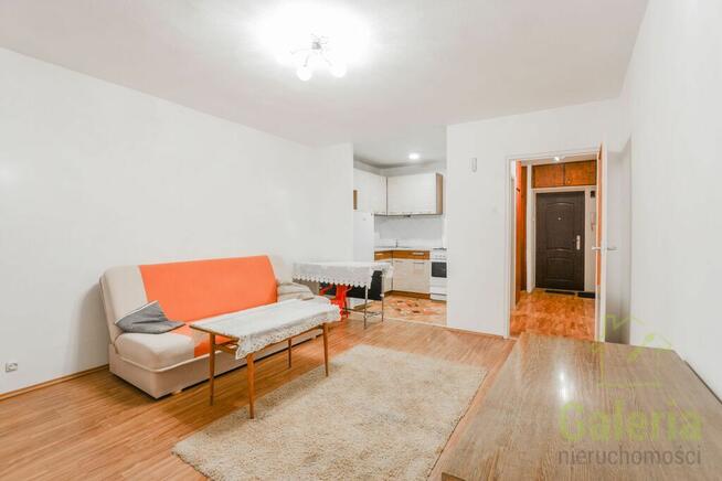 Jasna kawalerka, Pomorzany Wzgórze Hetmańskie