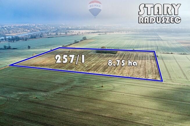 Na sprzedaż grunty orne RIIIa 8,75 ha