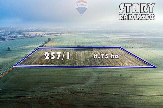 Na sprzedaż grunty orne RIIIa 8,75 ha