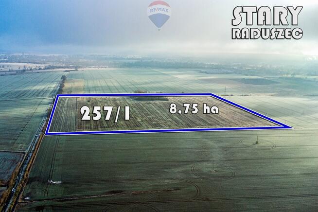 Na sprzedaż grunty orne RIIIa 8,75 ha