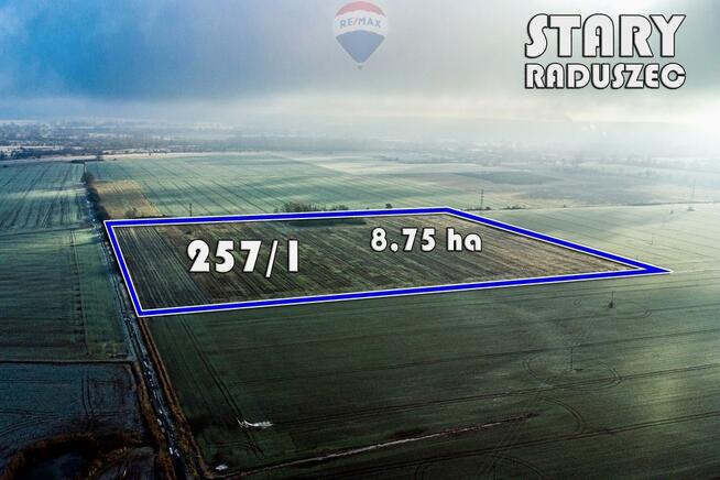Na sprzedaż grunty orne RIIIa 8,75 ha