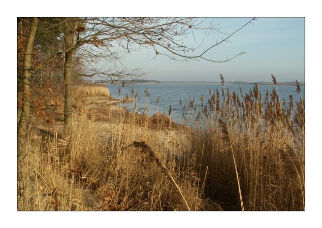 działka bud.-rekr. (MPZP) w pobliżu zalewu Domaniów