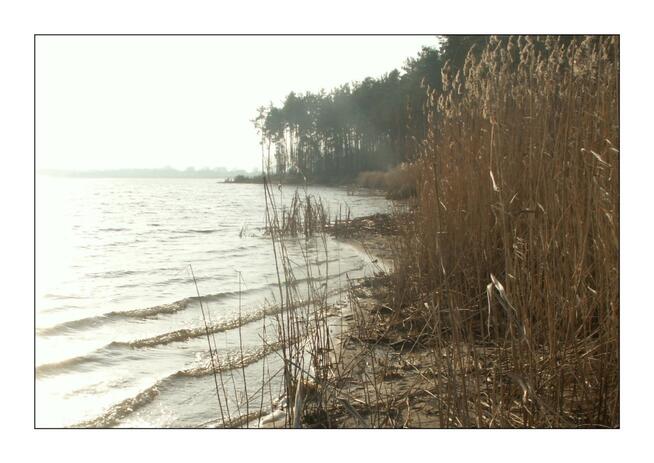 działka bud.-rekr. (MPZP) w pobliżu zalewu Domaniów