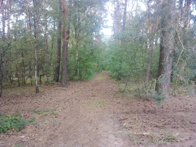 Działka budowlana Sobień gm. Aleksandrów Łódzki