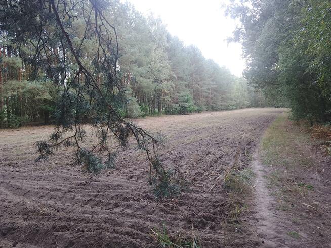 Działka budowlana Sobień gm. Aleksandrów Łódzki