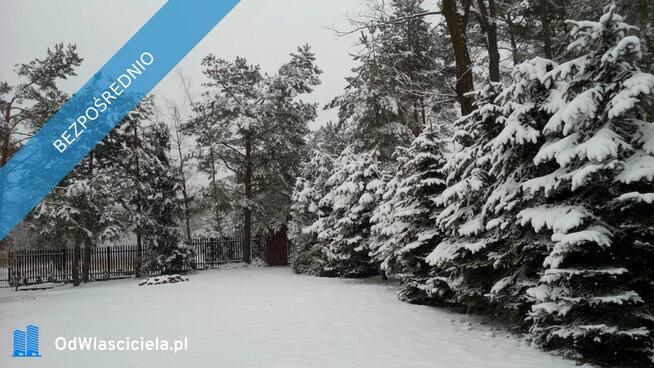 Dom drewniany z działką