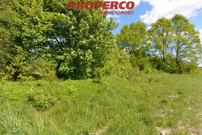 Działka Dyminy gm. Morawica