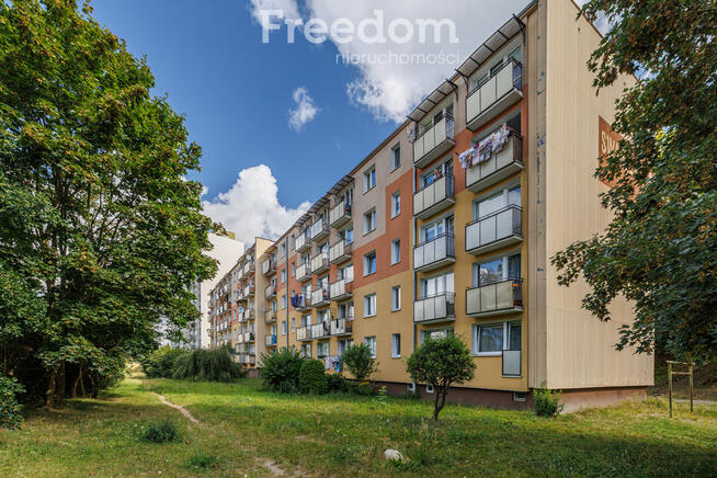 Cicha, zielona okolica.