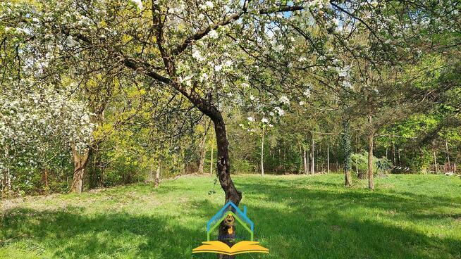 Działka budowlana Złotokłos