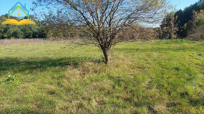 Działka budowlana Wólka Pracka gm. Piaseczno