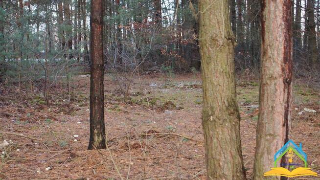 Działka budowlana Przypki gm. Tarczyn