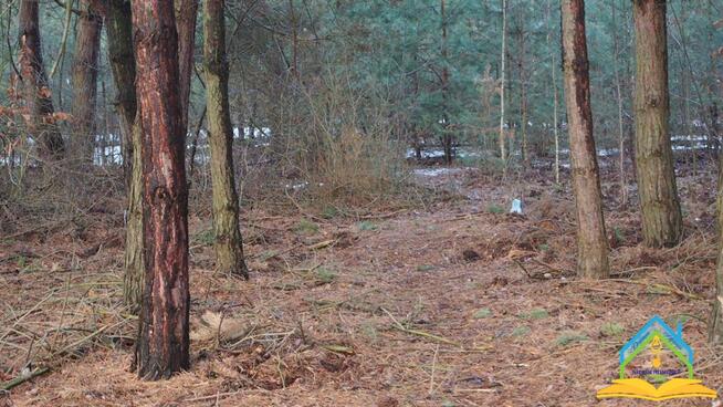 Działka budowlana Przypki gm. Tarczyn