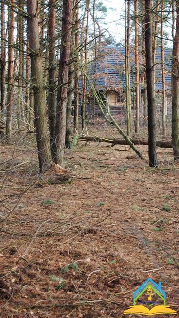 Działka budowlana Przypki gm. Tarczyn