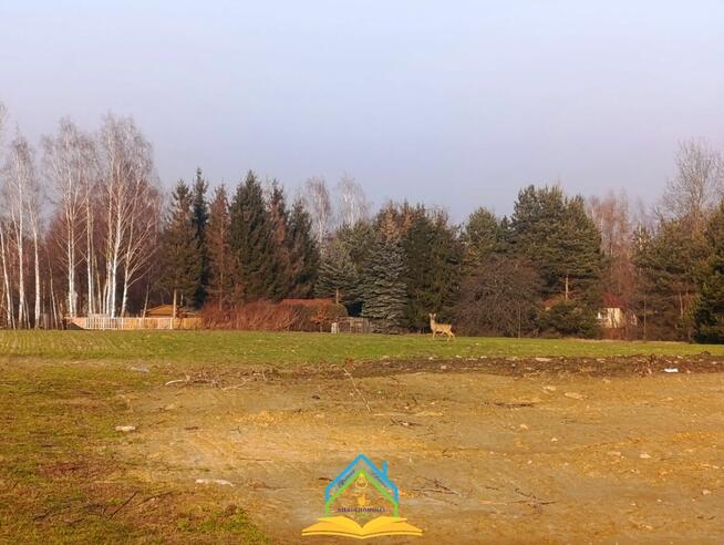 Działka inwestycyjna Kotorydz gm. Tarczyn